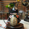 Zen Guardian Gourd #68(700ml）